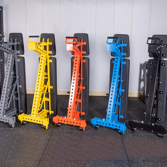 Sedia per fitness per la forza Panca per esercizi con manubri piatti Panca per allenamento Panca per pesi regolabile per palestra commerciale